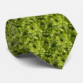 Groene sla stropdas (Opgerold)