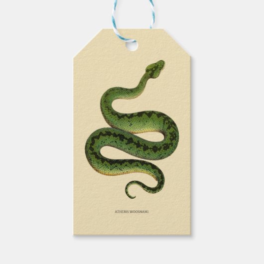 Groene slang cadeaulabel (Voorkant)