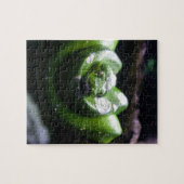 Groene slang legpuzzel (Horizontaal)