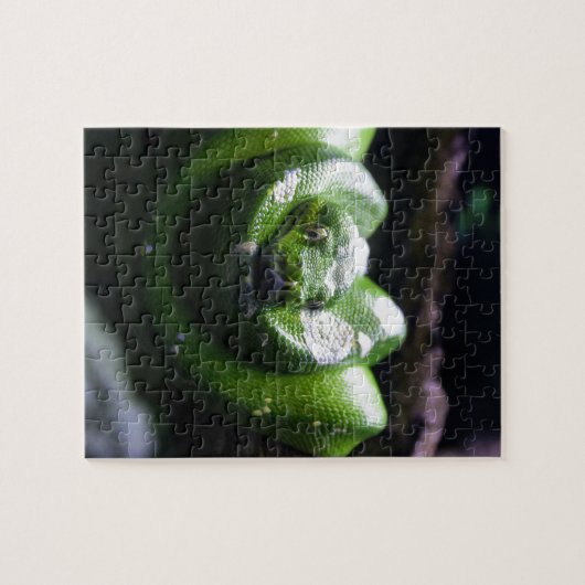 Groene slang legpuzzel (Horizontaal)