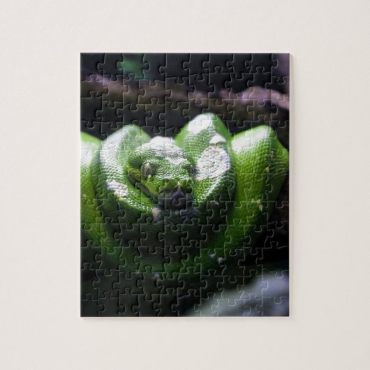 Groene slang legpuzzel (Verticaal)