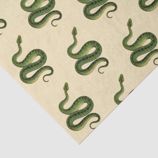 Groene slang tissuepapier (Detail)