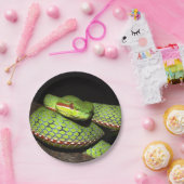 Groene slang voor reptielliefhebbers papieren bordje (Feest)