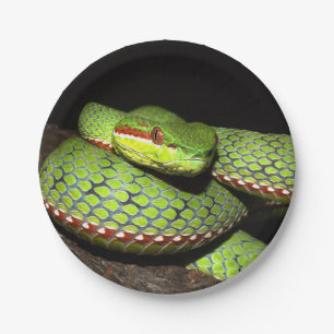 Groene slang voor reptielliefhebbers papieren bordje