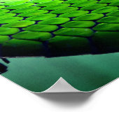 Groene slangen poster (Hoek)