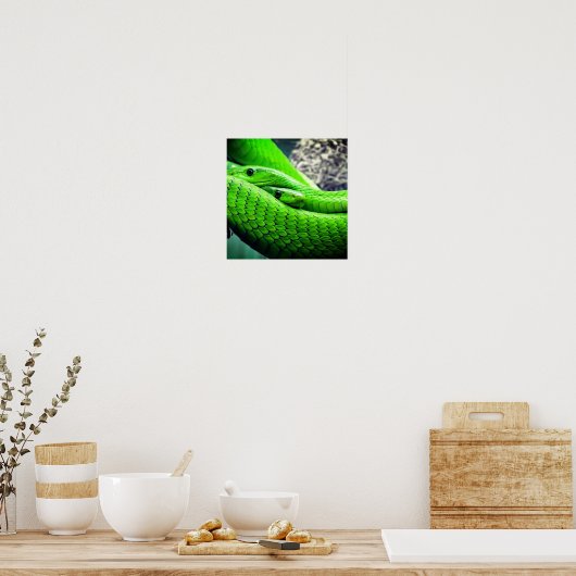 Groene slangen poster (Keuken)