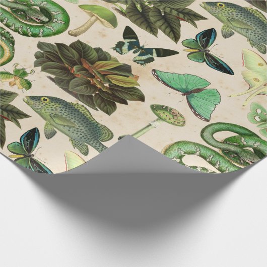 Groene slangen vis en vlinder cadeaupapier (Hoek)