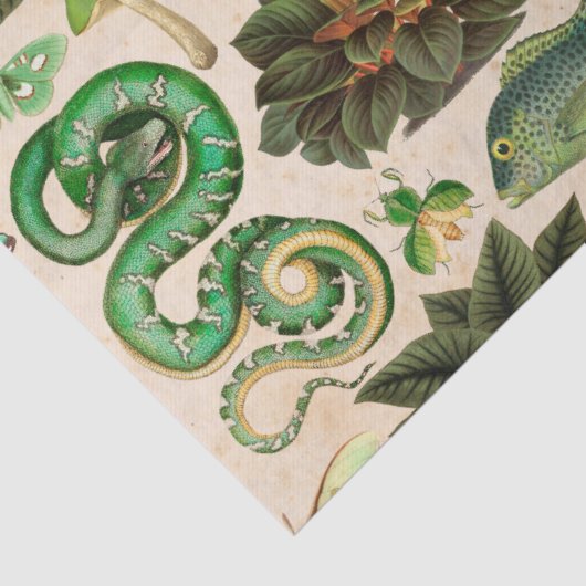 Groene slangen vis en vlinder ontkoppelen tissuepapier (Detail)