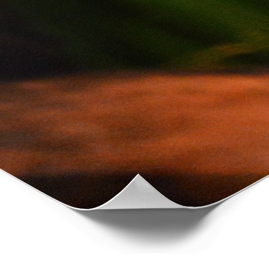 Groene slangendier poster (Hoek)