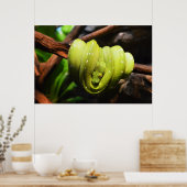 Groene slangendier poster (Keuken)