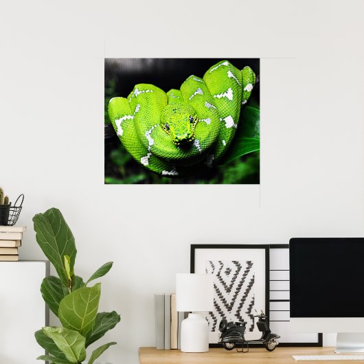 Groene slangendoek poster (Thuiskantoor)