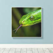 Groene Slangenkop Canvas Afdruk (Insitu (Houten vloer))