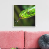 Groene Slangenkop Canvas Afdruk (Insitu (Woonkamer))