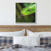 Groene Slangenkop Canvas Afdruk (Insitu (Slaapkamer))