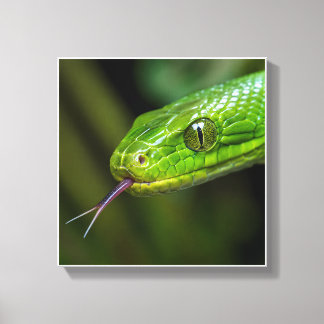 Groene Slangenkop Canvas Afdruk