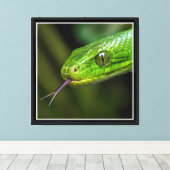 Groene Slangenkop Canvas Afdruk (Insitu (Houten vloer))