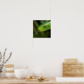 Groene Slangenkop Poster (Keuken)