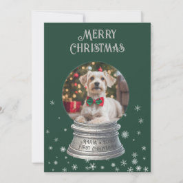 Groene Sneeuwglobe Sneeuwvlok Foto Plat Kerstkaart