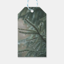 Groene spar boom close-up, Kerst esthetiek