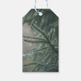 Groene spar boom close-up, Kerst esthetiek Cadeaulabel