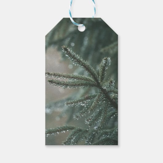 Groene spar boom close-up, Kerst esthetiek Cadeaulabel (Voorkant)