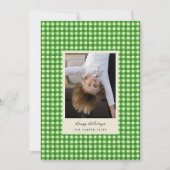 Groene speelse met de hand getekende geruite foto feestdagenkaart (Voorkant)