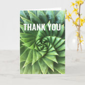 Groene Spiraal Aloë Polyphylla Kaart (Gele Bloem)