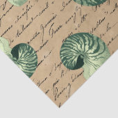 Groene spiraalvormige zeelieden op Tan-ontkoppelin Tissuepapier (Detail)