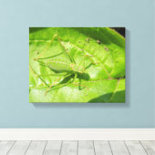 Groene sprinkhaan camouflage canvasprint canvas afdruk (Insitu (Houten vloer))