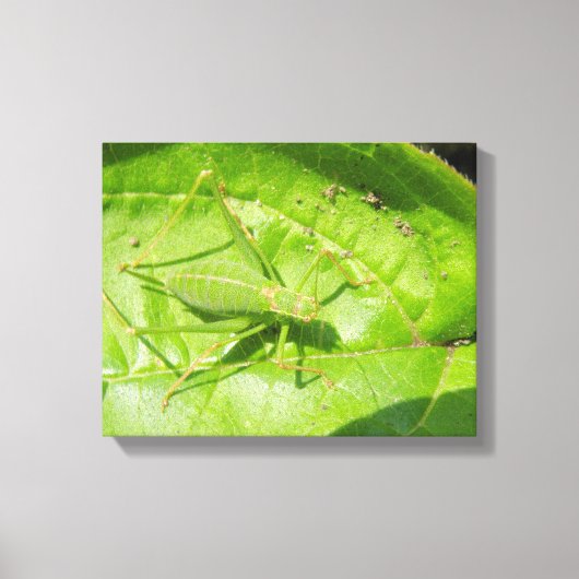 Groene sprinkhaan camouflage canvasprint canvas afdruk (Voorkant)