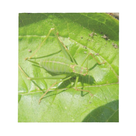 Groene sprinkhaan camouflage notitieblok (Voorkant)