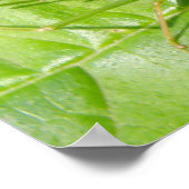 Groene sprinkhaan camouflageprint poster (Hoek)