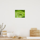 Groene sprinkhaan camouflageprint poster (Keuken)
