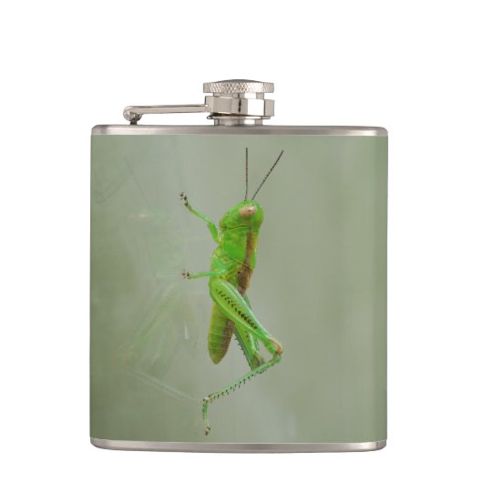 Groene sprinkhaan heupfles (Voorkant)