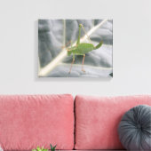 Groene sprinkhaan Macro Canvasprint Canvas Afdruk (Insitu (Woonkamer))