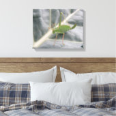 Groene sprinkhaan Macro Canvasprint Canvas Afdruk (Insitu (Slaapkamer))