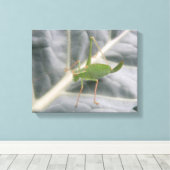 Groene sprinkhaan Macro Canvasprint Canvas Afdruk (Insitu (Houten vloer))