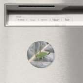 Groene sprinkhaan-macro-magneet magneet (Insitu (Vaatwasser))