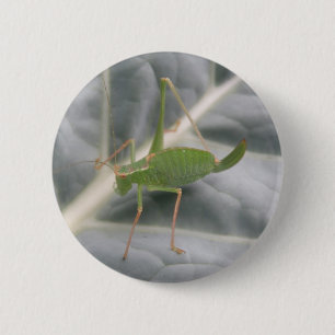 Groene sprinkhaan-macroknop ronde button 5,7 cm