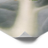 Groene sprinkhaan macroprint poster (Hoek)