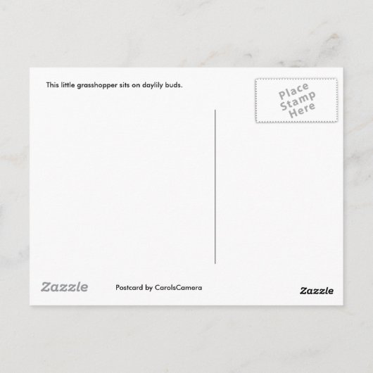 Groene sprinkhaan op het Briefkaart van Daylily Bu (Achterkant)