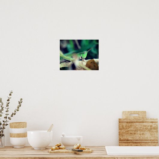 Groene sprinkhaan op Leaf Insect Poster (Keuken)