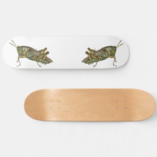 Groene sprinkhaan persoonlijk skateboard (Horizontaal)