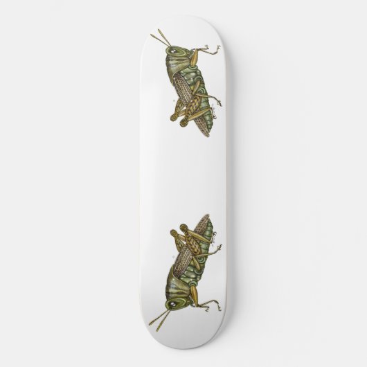 Groene sprinkhaan persoonlijk skateboard (Voorkant)