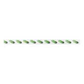 Groene Squash (Wintermelon) Satijnen Lint (Voorkant)