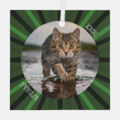 Groene Starburst Aangepaste Katten Vakantie Kerstm Glas Ornament (Achterkant)