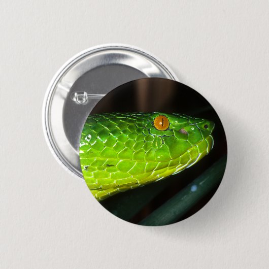 Groene Stejneger's pit viperslang Ronde Button 5,7 Cm (Voorkant /achterkant)