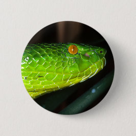 Groene Stejneger's pit viperslang Ronde Button 5,7 Cm