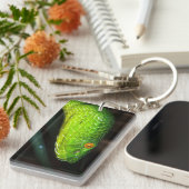 Groene Stejneger's pit viperslang Sleutelhanger (Voorkant Rechts)