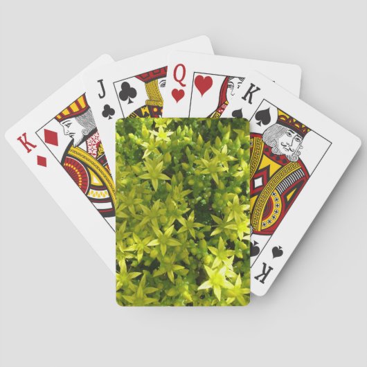 groene ster als bloemen kruidenplant speelkaarten (Achterkant)